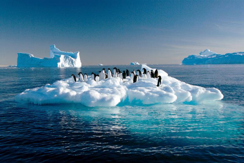 ﻿南極融冰增速