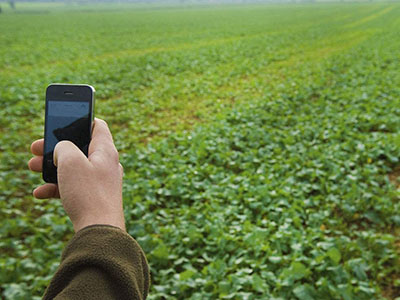 國務院：推進「互聯網+農業」 讓手機成為「新農具」