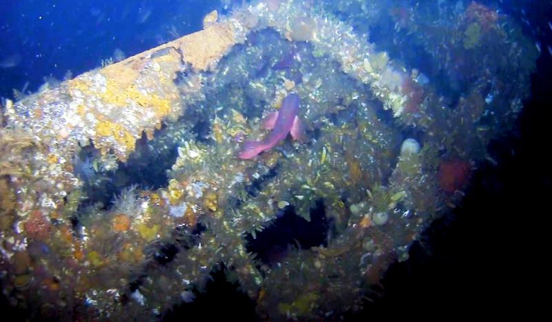 ﻿失蹤75年 美二戰沉艦殘骸重現