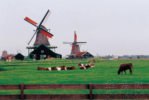 中國在荷蘭的直接投資