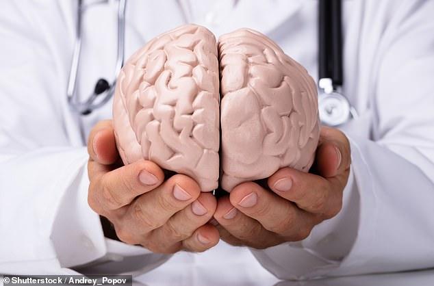 科學家很快可在實驗室培養出人類大腦