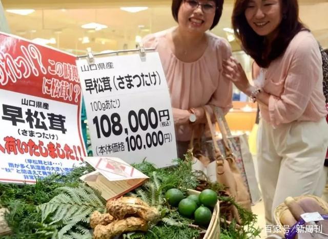 中國松茸那麽貴，還不是因為日本人