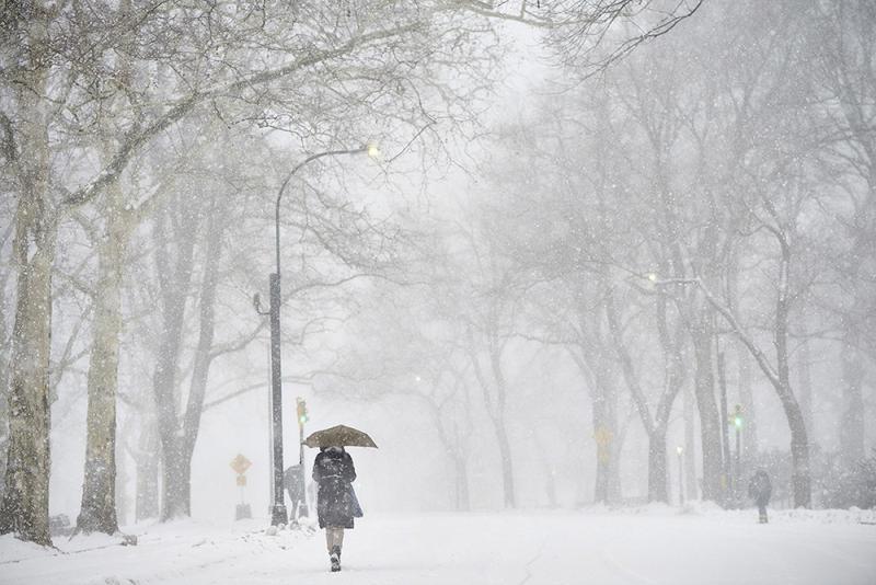 那時候的雪，點染了我的童年，它也收藏了我的童年記憶
