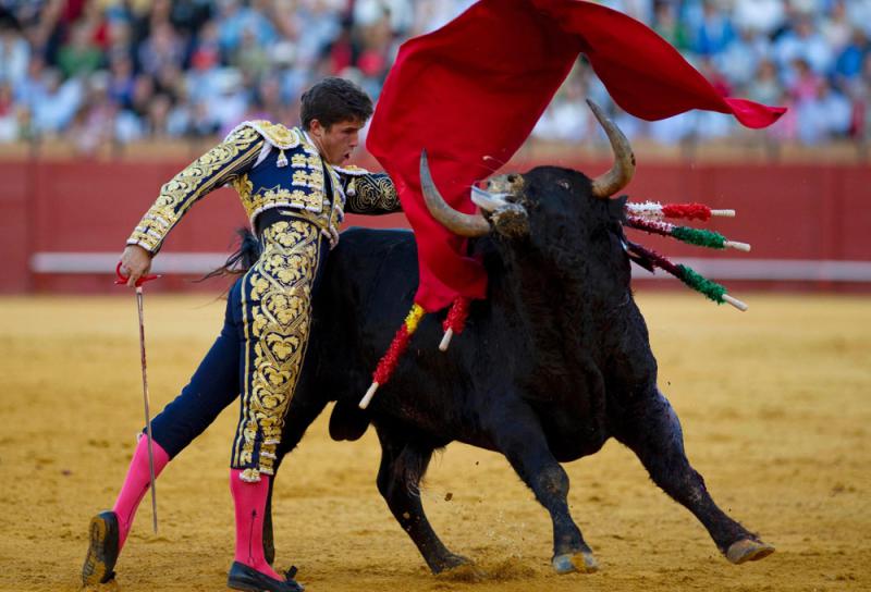﻿西班牙鬥牛