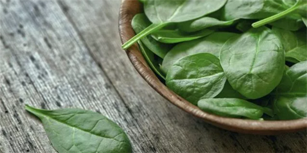 綠葉菜能讓人的腦子更好用嗎？每天吃夠這個量真有用！ 