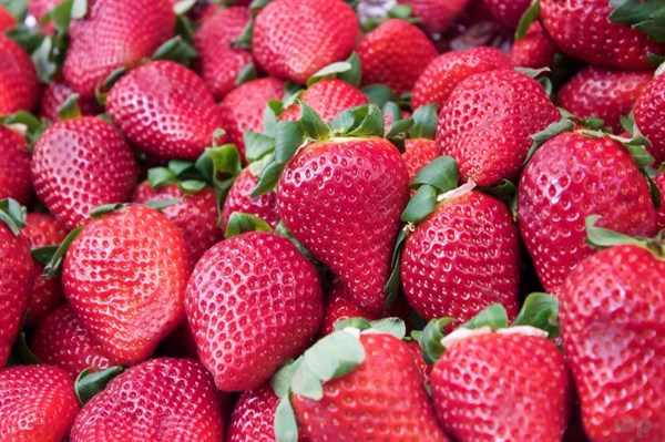 糖尿病吃草莓升糖快嗎？記住這3點，吃得很開心！