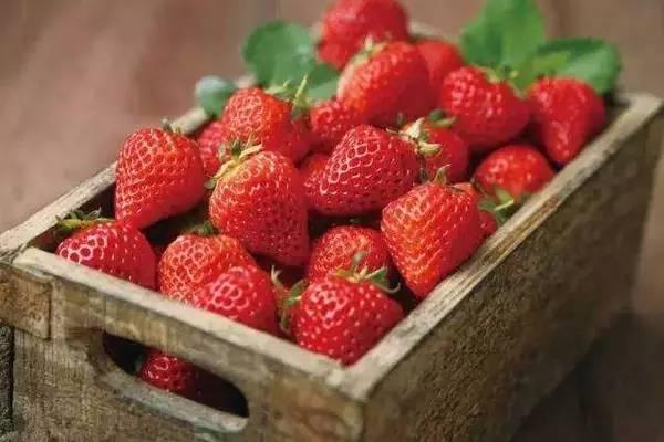 3月草莓正當紅，但註意別買“這3種”，有人不清楚，難怪不好吃