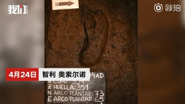 最古老人類腳印啥樣？在智利南部被發現，可追溯到1.56萬年前
