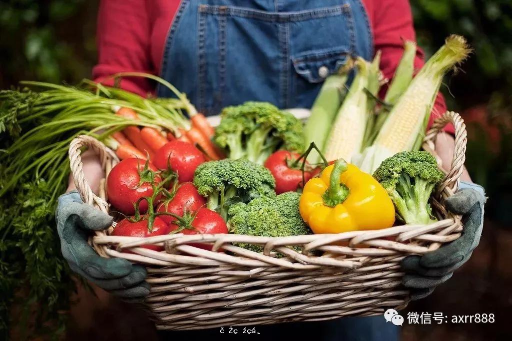 養肝護肝就挑這七種蔬菜，不僅健康，也很便宜！