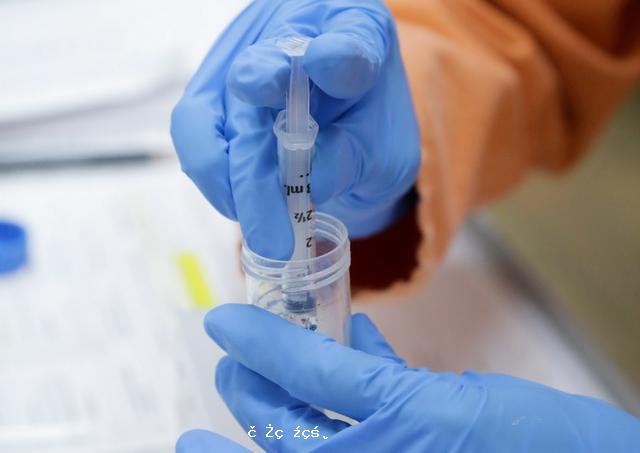 中國披露全球首個新冠疫苗非人靈長類實驗結果：有效、安全