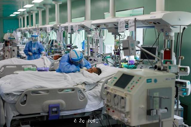 多國科研機構公布研究結果：中國沒有操縱疫情數字