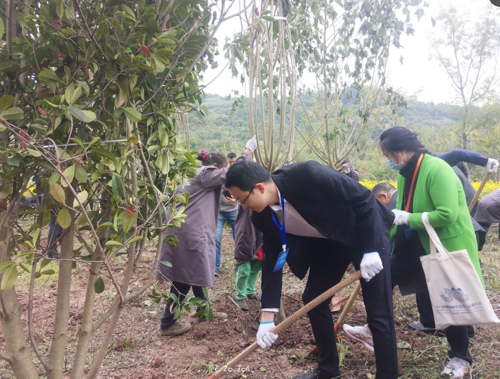 2020年成都海外華僑華人社團「蓉僑林」植樹活動：手植一棵樹，心留一片綠