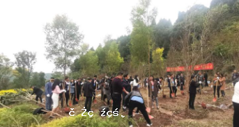 2020年成都海外華僑華人社團「蓉僑林」植樹活動：手植一棵樹，心留一片綠