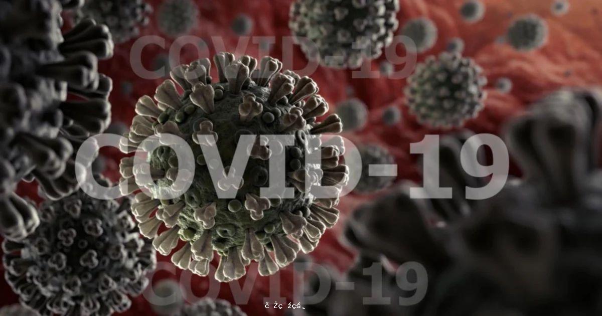 新冠病毒突變種可能使恢復期血漿療法失效，增加二次感染風險 