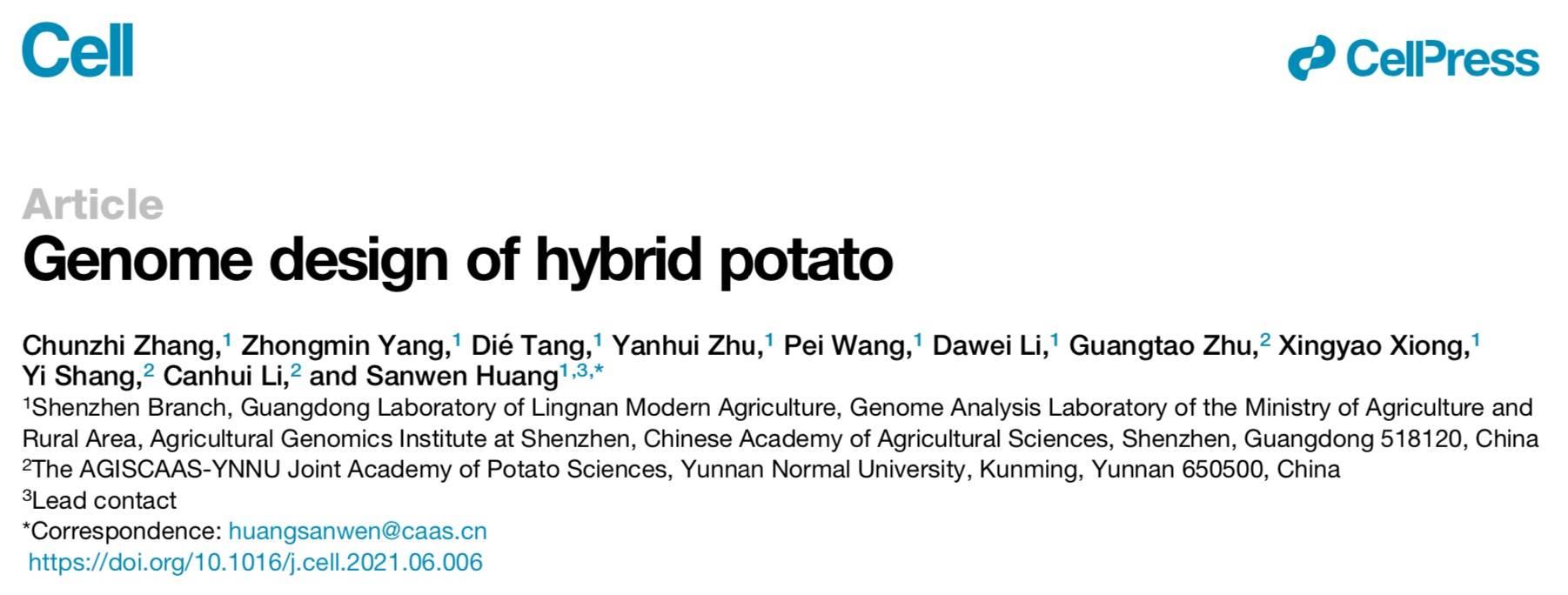 百年馬鈴薯品種替代多難？中國團隊驗證了雜交育種的可行性 