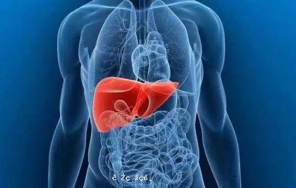 九個行為習慣對肝臟傷害很大，養肝護肝一定避開 