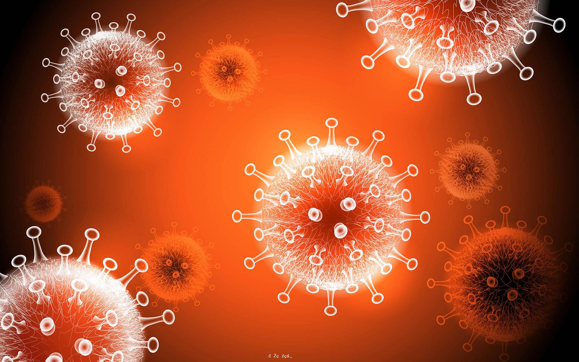 《細胞》：多國科學家強調，新冠病毒疫情源於動物傳人而不是實驗室泄漏 