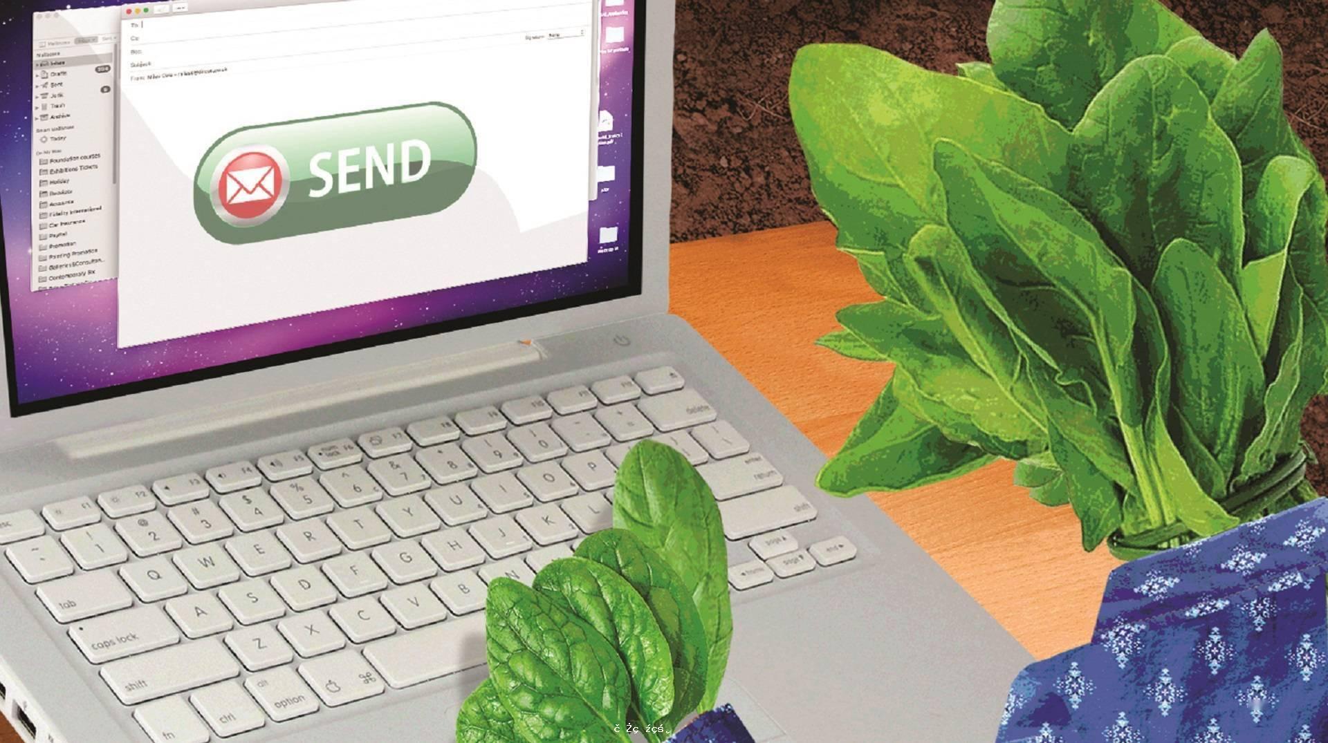 讓菠菜變身「裁判」，植物也能給我們發「電子郵件」預警 