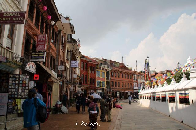 2021年尼泊爾占西藏自治區對「一帶一路」沿線國家貿易值比重逾90%
