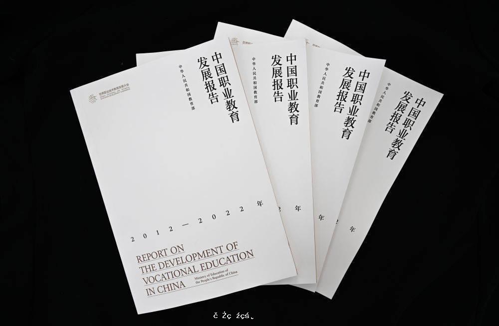 《中國職業教育發展白皮書》發布 向世界分享中國經驗