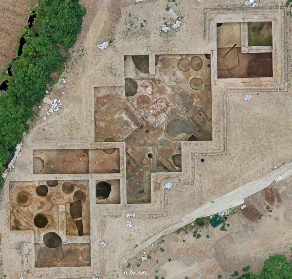 河南蘇羊遺址發現300余座龍山時期墓葬 