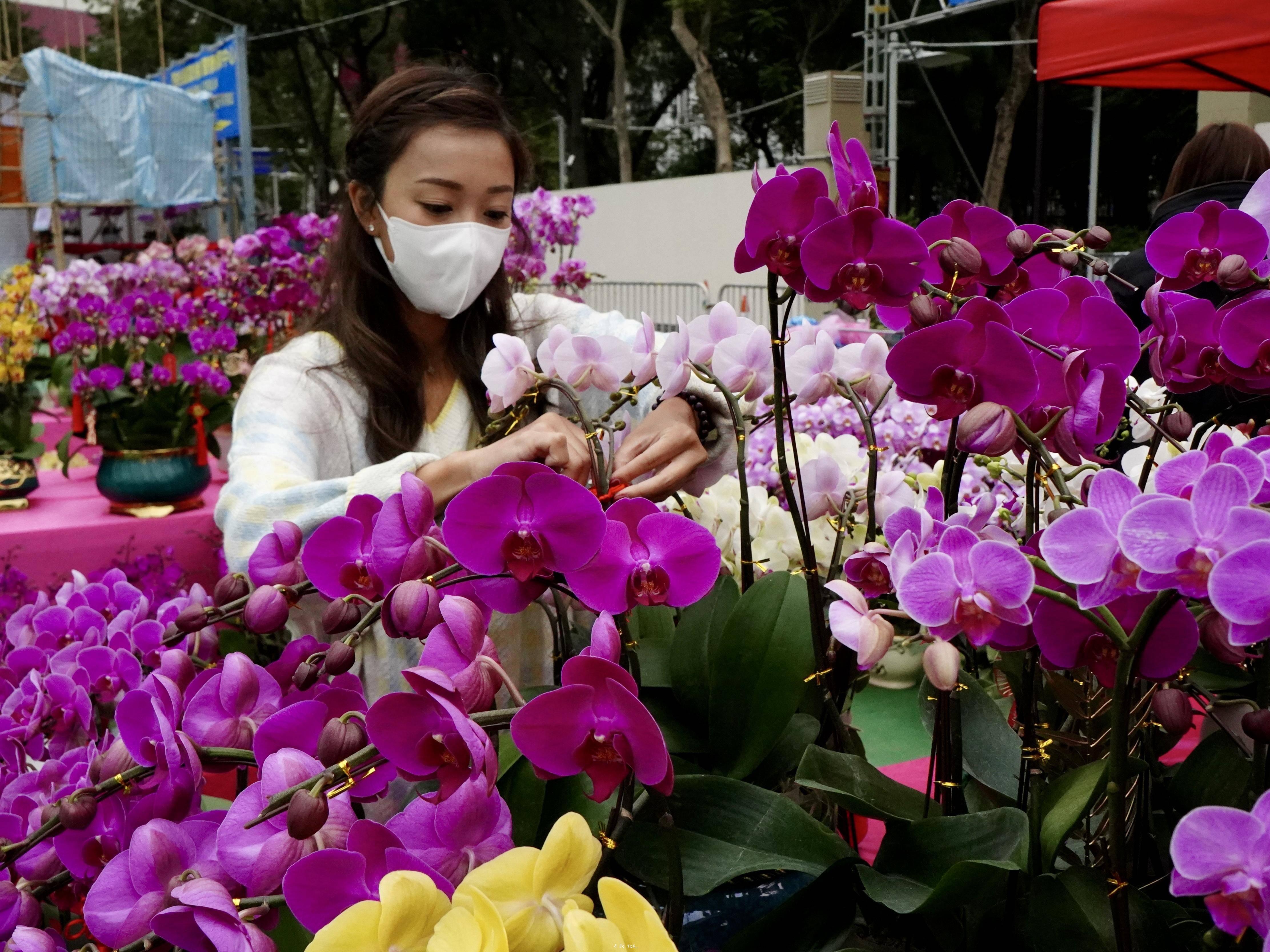 香港：年宵花市又一春 