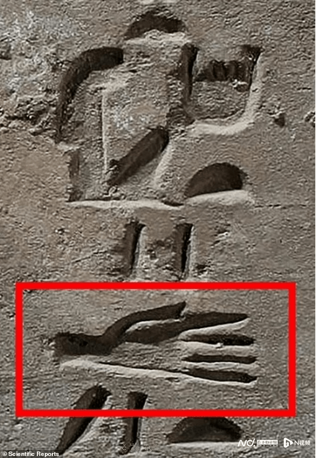 3500年前古埃及宮殿遺址驚現12只斷手，可能是殺俘儀式 