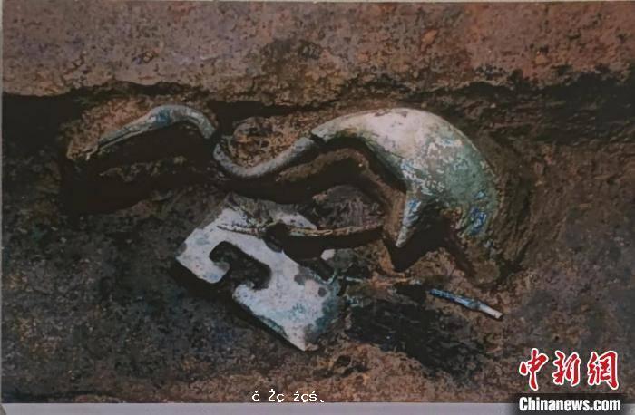 秦始皇帝陵博物院文物修復師馬宇：讓世界了解中國古代工匠的智慧 