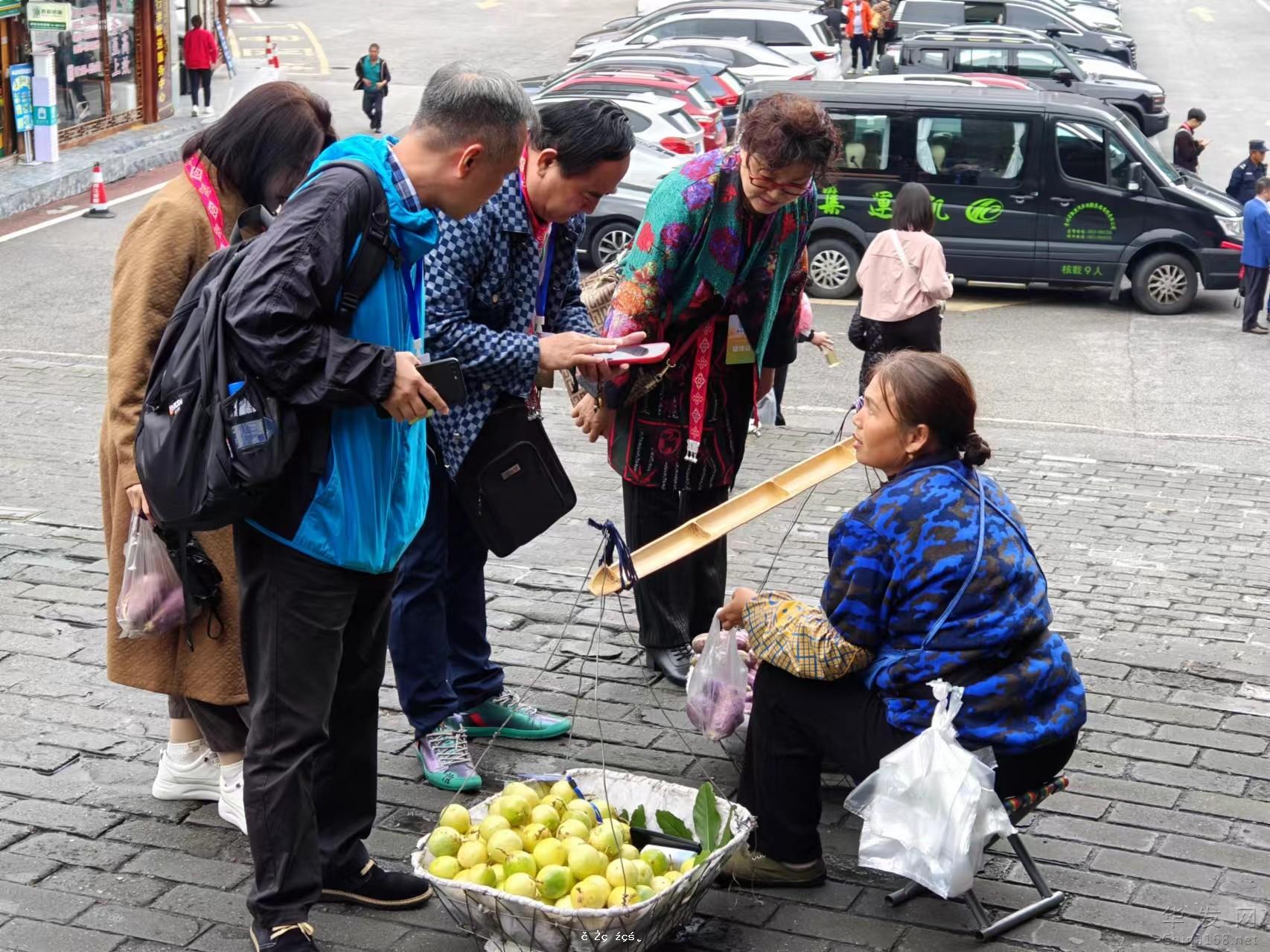 苗寨千年 今朝綻放 | 海外華文媒體開啟西江千戶苗寨文化遺產探索之旅